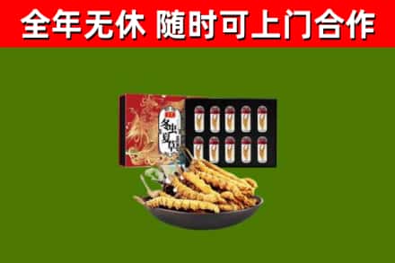 金东回收冬虫夏草价格